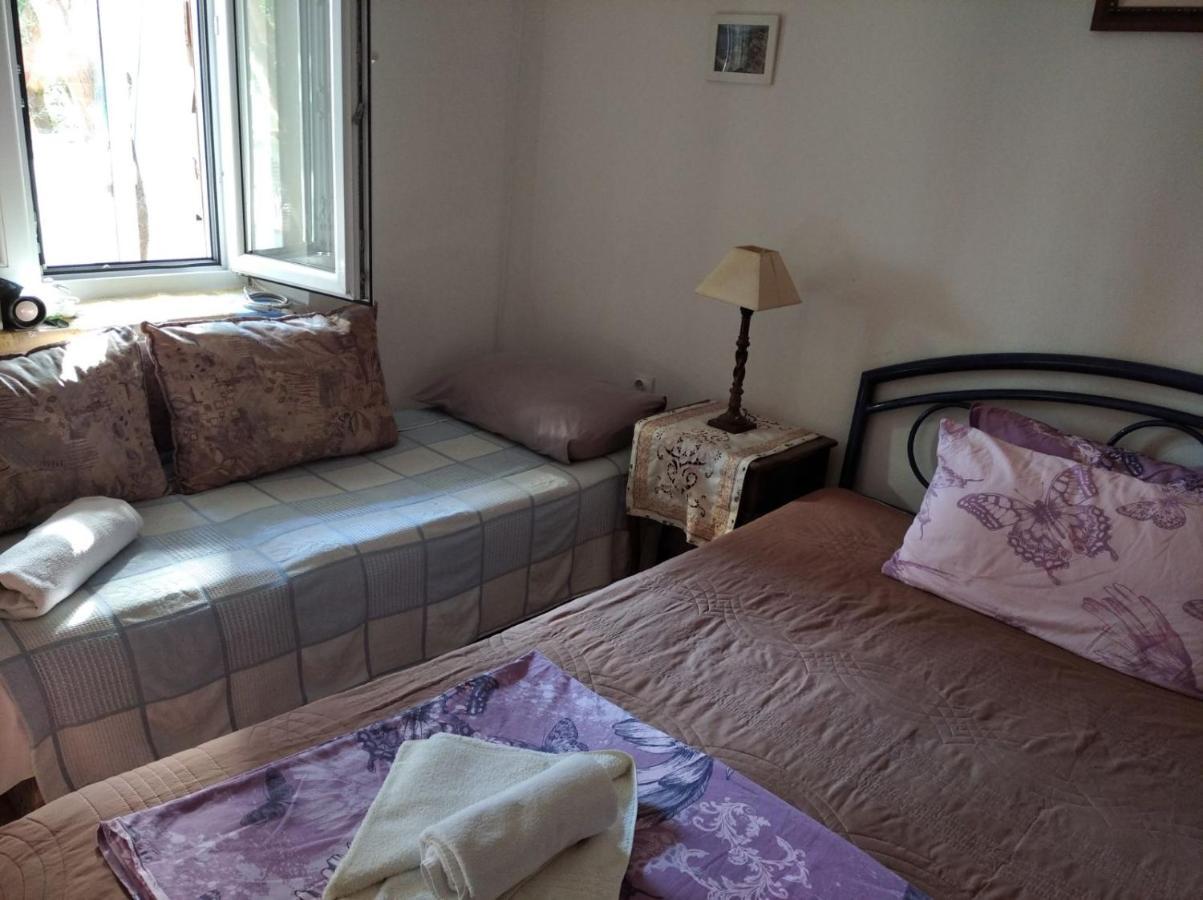 Apartment Cepic 赫尔采格诺维 外观 照片